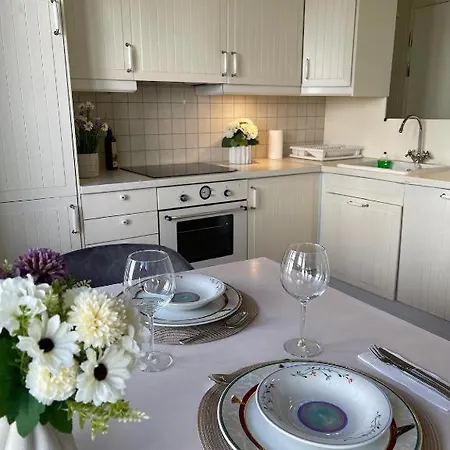 Fin I Sentrum Apartment