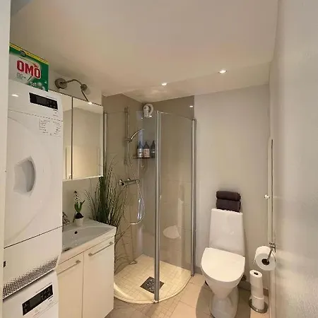 Apartment Fin I Sentrum