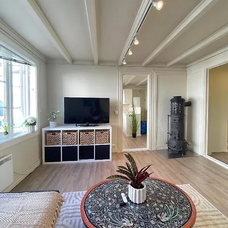 Fin I Sentrum Apartment